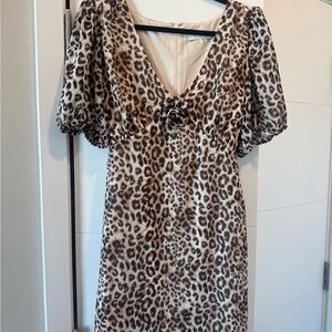 WAYF Leopard Print V-Neck Puff Sleeve Mini Dress